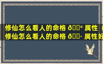 修仙怎么看人的命格 💮 属性（修仙怎么看人的命格 🌷 属性好不好）